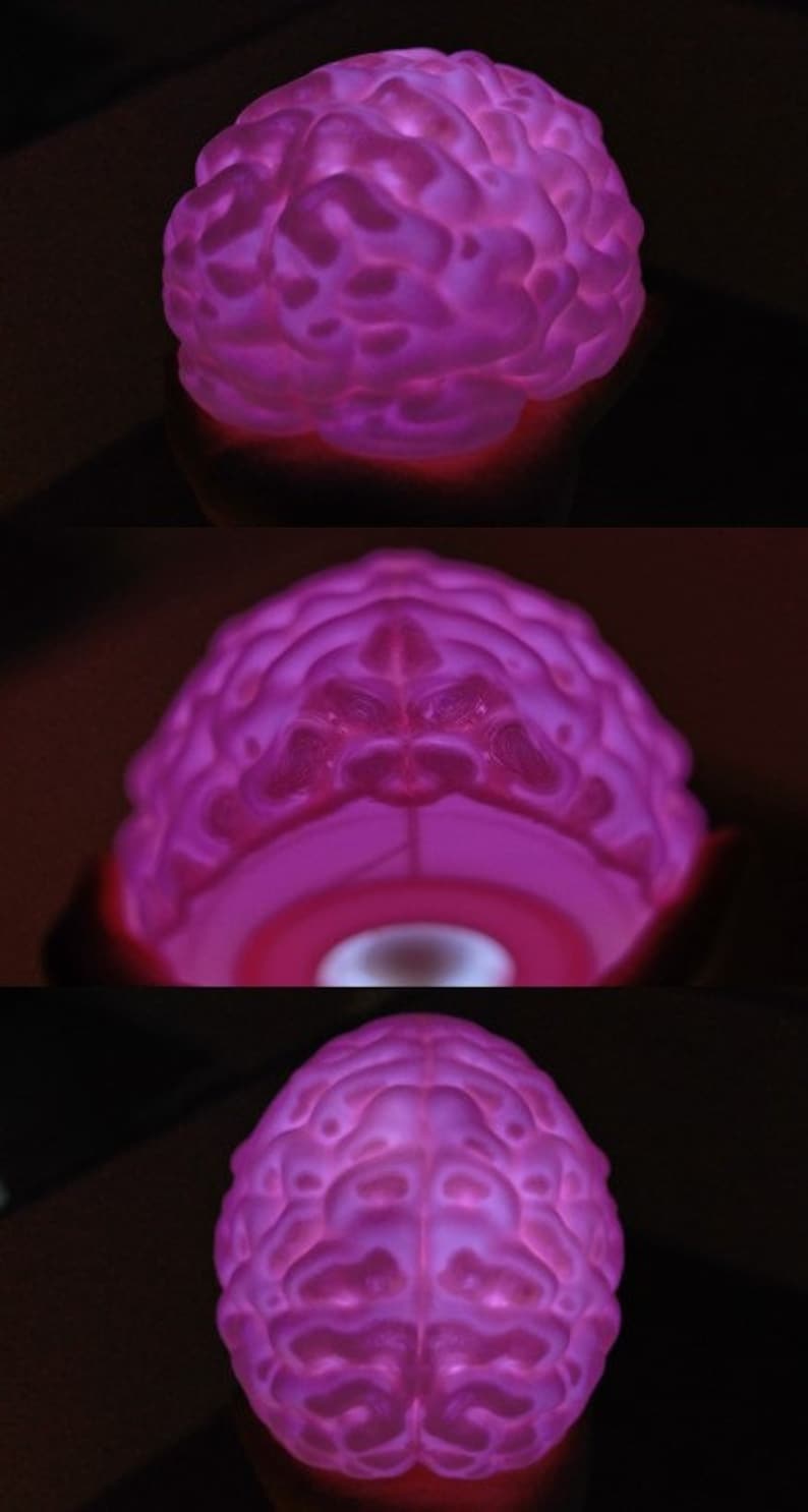May include: A glowing, pink brain-shaped object. The brain model is lit from within, showcasing its intricate surface details. The image is a close-up, highlighting the texture and form of the brain.