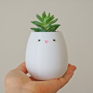 May include: White ceramic planter shaped like an egg with a pink smiling face and yellow eyes. A small green succulent plant is growing inside the planter.