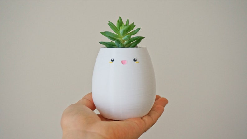 May include: White ceramic planter shaped like an egg with a pink smiling face and yellow eyes. A small green succulent plant is growing inside the planter.