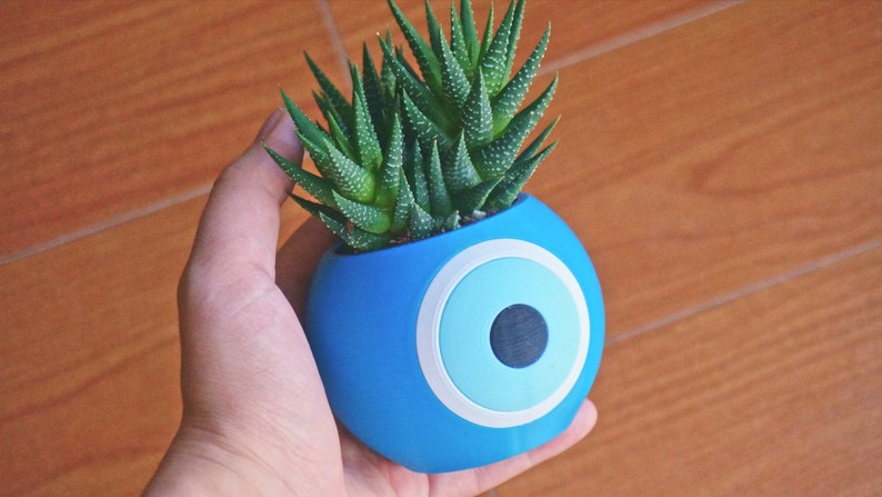 May include: A blue ceramic planter shaped like an evil eye with a white rim and a light blue eye. A small green succulent plant is growing in the planter.