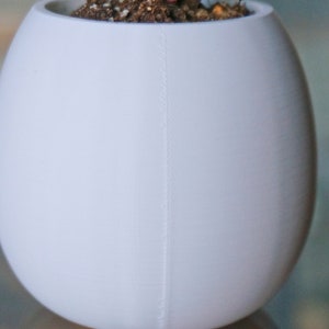 Pu&ograve; includere: Un vaso di ceramica bianco a forma di uovo con una piccola pianta che cresce al suo interno. Il vaso ha una cucitura sul lato.