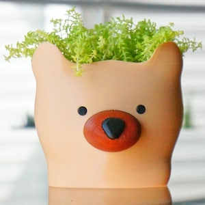 May include: A light peach-colored ceramic planter shaped like a bear's head with a brown nose and black eyes. The planter is filled with green moss.