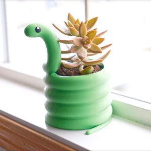 May include: A green snake-shaped planter with a succulent plant. The planter has a coiled body and a snake head that curves upwards. The succulent has green and yellow-orange leaves. The planter is on a windowsill.