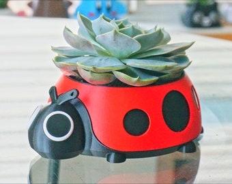 Maceta de mariquita: decoración de escritorio con insectos impresa en 3D, organizador de oficina