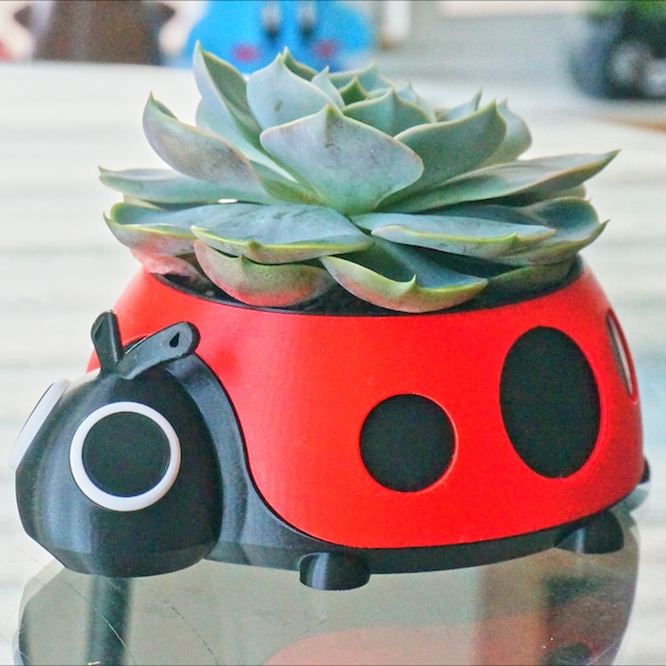 Ladybug Planter or Pen Pencil Holder, Insect Bug Desk Decor, Biology Candy Holder, Office Supply Organizer, Succulent Plant Pot, Bug Gift