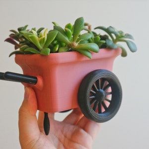 May include: A pink miniature wheelbarrow planter with a black wheel and handles, filled with green succulents.