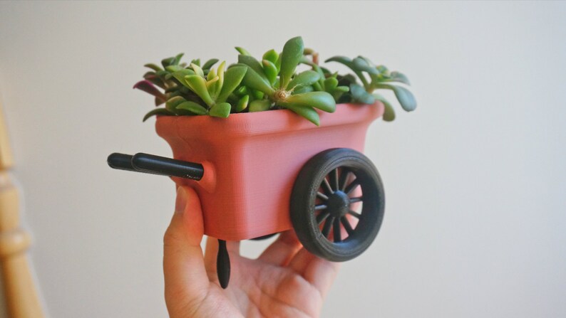 May include: A pink miniature wheelbarrow planter with a black wheel and handles, filled with green succulents.