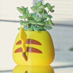 May include: A yellow Pikachu-shaped planter with a brown tail and a green succulent plant growing inside.