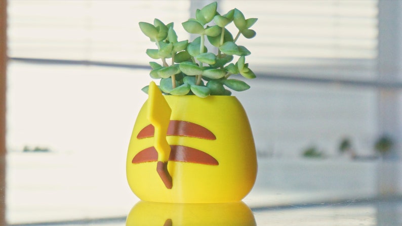 May include: A yellow Pikachu-shaped planter with a brown tail and a green succulent plant growing inside.