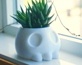 Skull Planter / Pen Pencil Holder- Succulent Planter- Cactus Pot- Skeleton Bones Desk Planter- Office Desk Decor- Adorable Skull