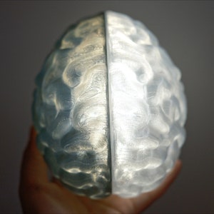 May include: A clear, translucent, 3D printed model of a human brain, split in half, with a light shining through the center.