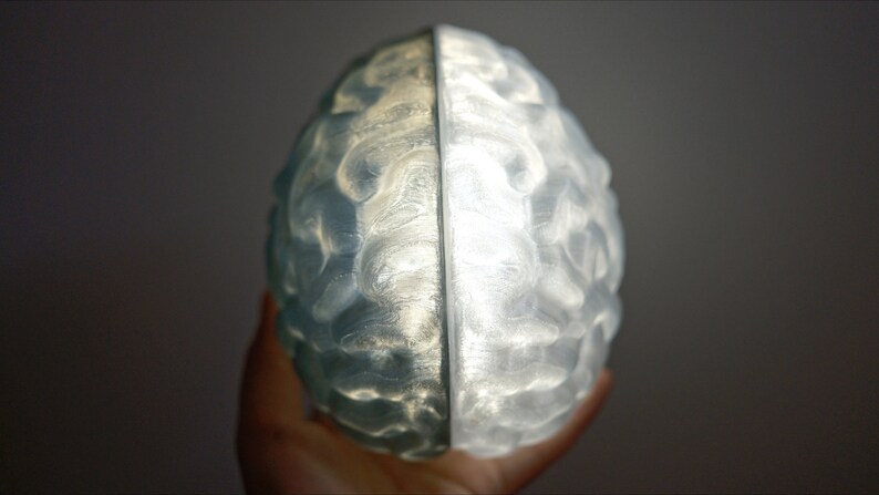 May include: A clear, translucent, 3D printed model of a human brain, split in half, with a light shining through the center.