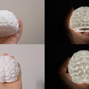 Brain LED Night Light: 3D Printed Novelty Gift, Science Decor image 9