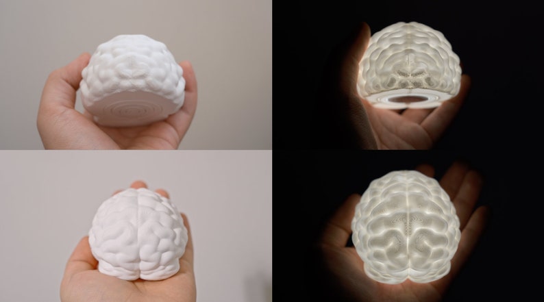 Brain LED Night Light: 3D Printed Novelty Gift, Science Decor image 9