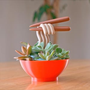 May include: A whimsical succulent planter shaped like a ramen bowl. The bright orange bowl holds green succulents, with faux noodles and chopsticks. A unique decorative piece for home or office.