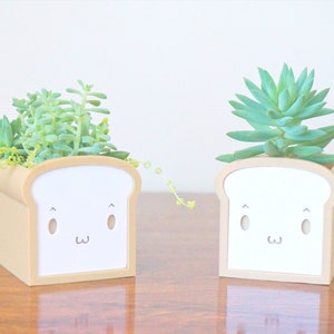 May include: Two white ceramic bread-shaped planters with cute faces, each holding a different type of succulent plant. The plants are green and growing out of the top of the planters.