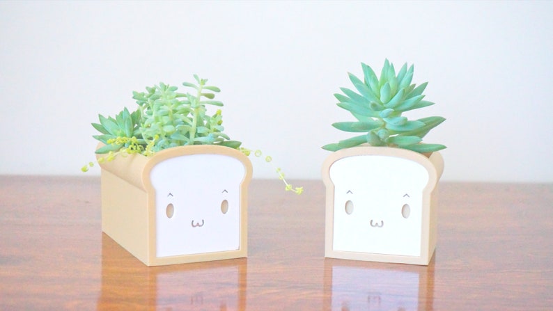 May include: Two white ceramic bread-shaped planters with cute faces, each holding a different type of succulent plant. The plants are green and growing out of the top of the planters.