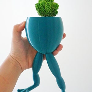 May include: A teal blue frog-shaped planter with a small green succulent plant inside. The planter has a rounded body and long legs.