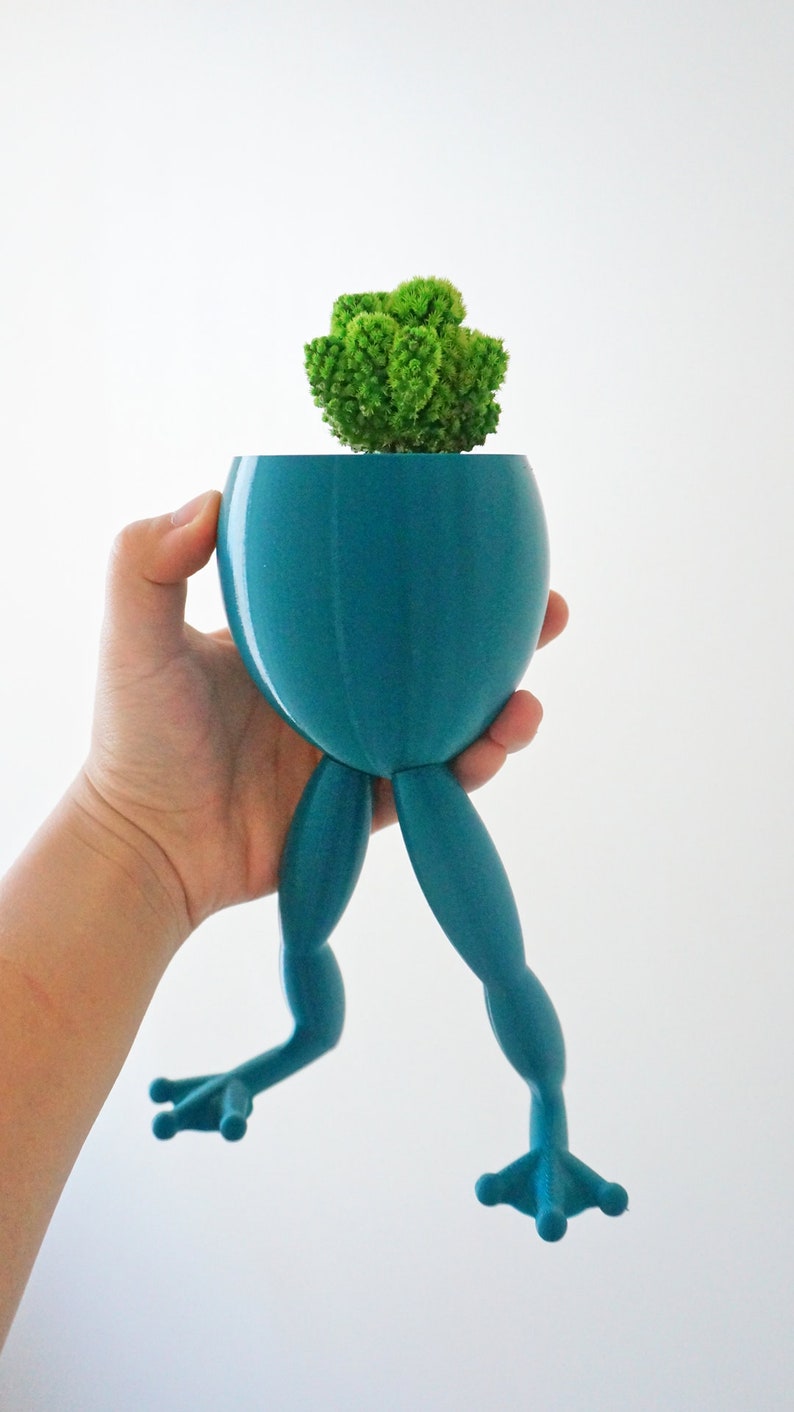 May include: A teal blue frog-shaped planter with a small green succulent plant inside. The planter has a rounded body and long legs.
