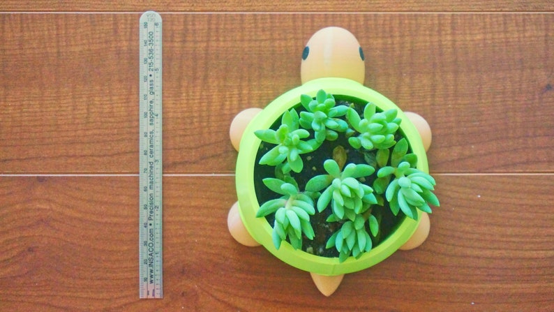 May include: A green turtle-shaped planter with a brown shell and black eyes. The planter is filled with green succulents.