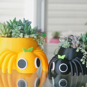 May include: Two whimsical spider-shaped planters, one yellow and one black, each filled with succulents. The planters have large, cartoonish eyes and eight legs. The yellow planter has a green leaf detail on top. The planters are sitting on a reflective surface.