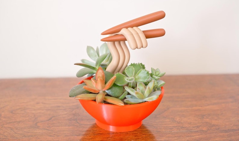 May include: A whimsical succulent arrangement in a bright orange bowl, featuring faux noodles and chopsticks. The arrangement includes various green and orange succulents, creating a playful and unique decorative piece.