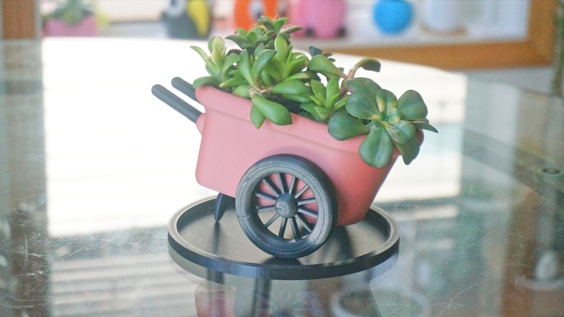 May include: A pink miniature wheelbarrow planter with a black wheel and a black base. The planter is filled with green succulents.