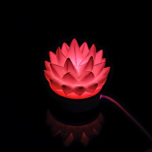 K&ouml;nnte beinhalten: Ein leuchtendes rotes Lotusblumen-Nachtlicht vor schwarzem Hintergrund. Die Bl&uuml;tenbl&auml;tter der Blume sind beleuchtet und erzeugen ein weiches, umgebendes Leuchten. Das Licht ist mit einem d&uuml;nnen, lila Kabel verbunden.