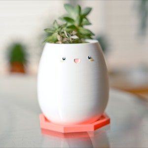 May include: White ceramic planter with a happy face painted on it, holding a small green succulent plant. The planter is sitting on a pink hexagonal base.