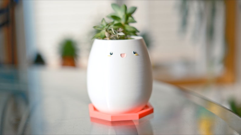 May include: White ceramic planter with a happy face painted on it, holding a small green succulent plant. The planter is sitting on a pink hexagonal base.