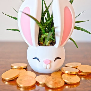 Bunny with Big Ears Plant Pot,  Easter Rabbit, Chinese New Year of the Rabbit, Cute Kawaii Rabbit, Animal Lover Gift