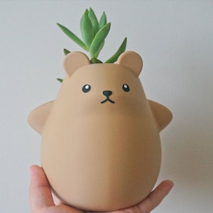 May include: A brown ceramic planter shaped like a bear with a small succulent plant growing out of the top.