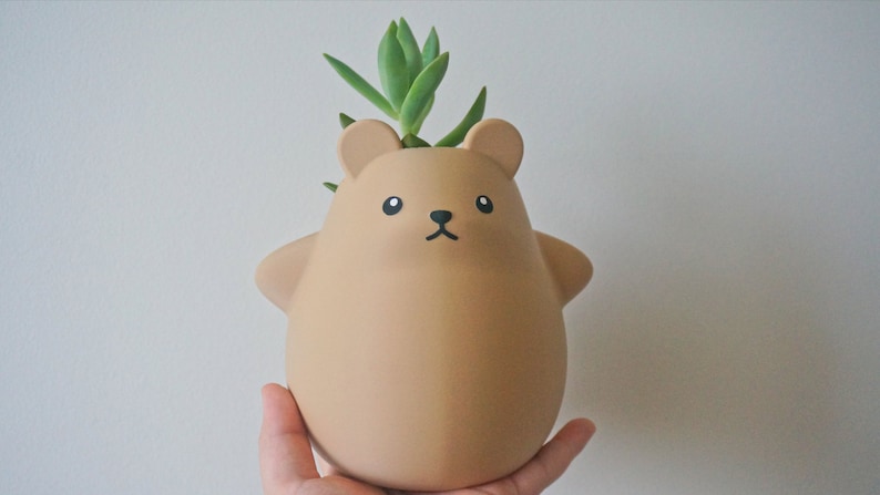 May include: A brown ceramic planter shaped like a bear with a small succulent plant growing out of the top.
