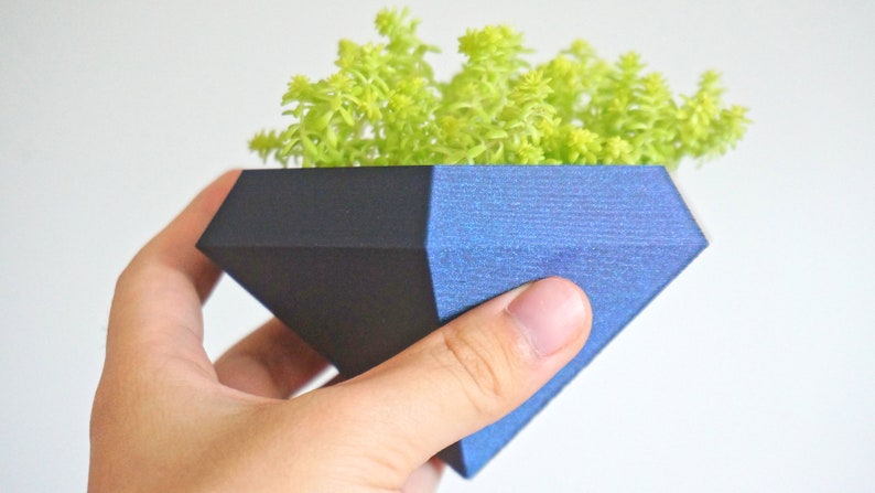 May include: A black and blue geometric planter with a small green succulent plant inside. The planter is shaped like a diamond and is being held in a hand.