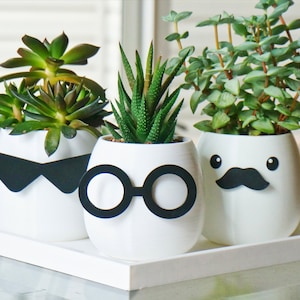 May include: Three white ceramic planters with different facial expressions, including sunglasses, glasses, and a mustache. Each planter is filled with a different type of succulent plant.