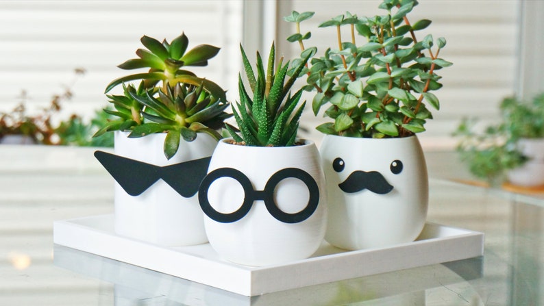 May include: Three white ceramic planters with different facial expressions, including sunglasses, glasses, and a mustache. Each planter is filled with a different type of succulent plant.