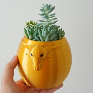 Puede incluir: Una maceta de cer&aacute;mica de color dorado con forma de cabeza de toro, con una peque&ntilde;a planta suculenta creciendo en su interior.