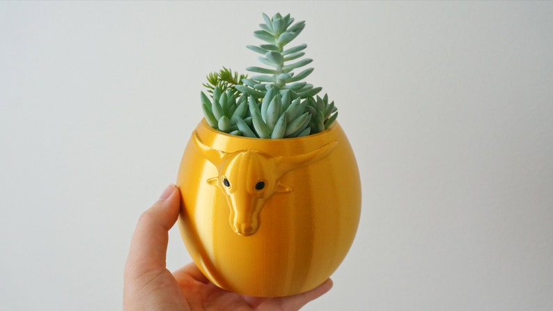 Puede incluir: Una maceta de cer&aacute;mica de color dorado con forma de cabeza de toro, con una peque&ntilde;a planta suculenta creciendo en su interior.