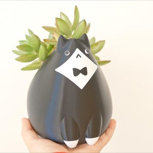 May include: A black cat-shaped planter with a white bib and bow tie, holding a succulent plant. The planter has white accents on the paws and is held in a hand against a white background. A unique decorative item.