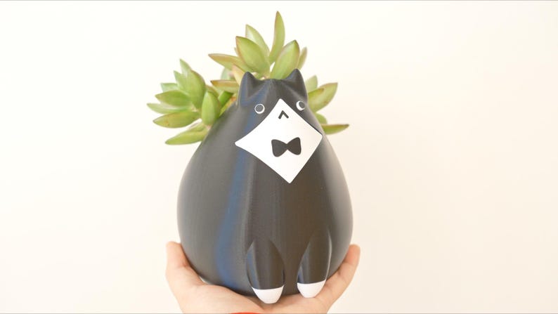 May include: A black cat-shaped planter with a white bib and bow tie, holding a succulent plant. The planter has white accents on the paws and is held in a hand against a white background. A unique decorative item.