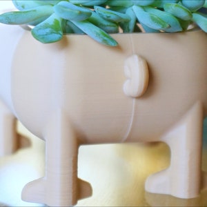 May include: A beige ceramic planter shaped like a dog with a succulent plant growing inside. The planter has four legs and a tail.