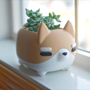 May include: A tan and white ceramic planter shaped like a dog with a small succulent plant inside. The planter has black eyes and a white nose.