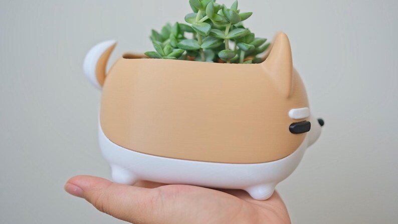 May include: A tan and white ceramic planter shaped like a dog with a succulent plant inside.