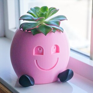 May include: A pink 3D printed planter shaped like a smiling face with black feet, holding a green succulent plant.