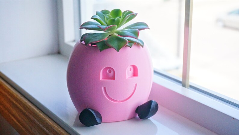 May include: A pink 3D printed planter shaped like a smiling face with black feet, holding a green succulent plant.