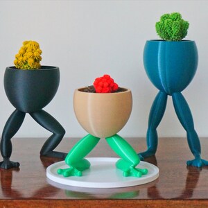 May include: Three frog-leg plant pots with different colored legs and pots. The pots are holding small plants. The pots are on a wooden surface.
