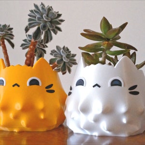 Suspicious Cat Planter: Kawaii Pen & Pencil Holder, Succulent Pot image 2