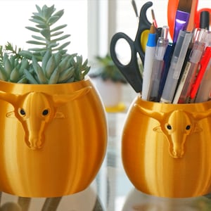 May include: Two gold-coloured ceramic planters shaped like a bull's head. The planter on the left has a small succulent plant growing in it. The planter on the right is empty and has a collection of pens and pencils inside.