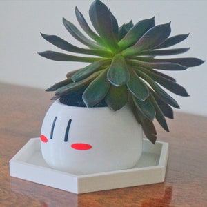 1 Inch Tall Pentagon Drainage Tray- Succulent Planter Drip Tray- Drain Dish- Pot Water Catcher- Minimalist Simple Plant Saucer
