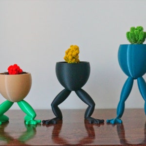 May include: Three 3D printed planters shaped like frogs with legs, each holding a different succulent plant. The planters are brown, black, and blue.